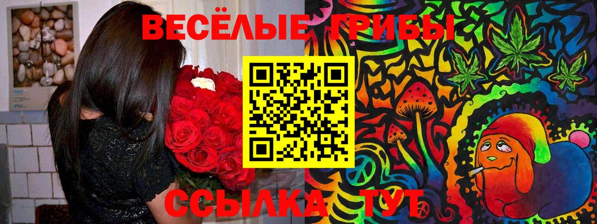 Галлюциногенные грибы Magic Shrooms  Псилоцибиновые грибы прущие грибы  Вход с VPN  Соликамск 
